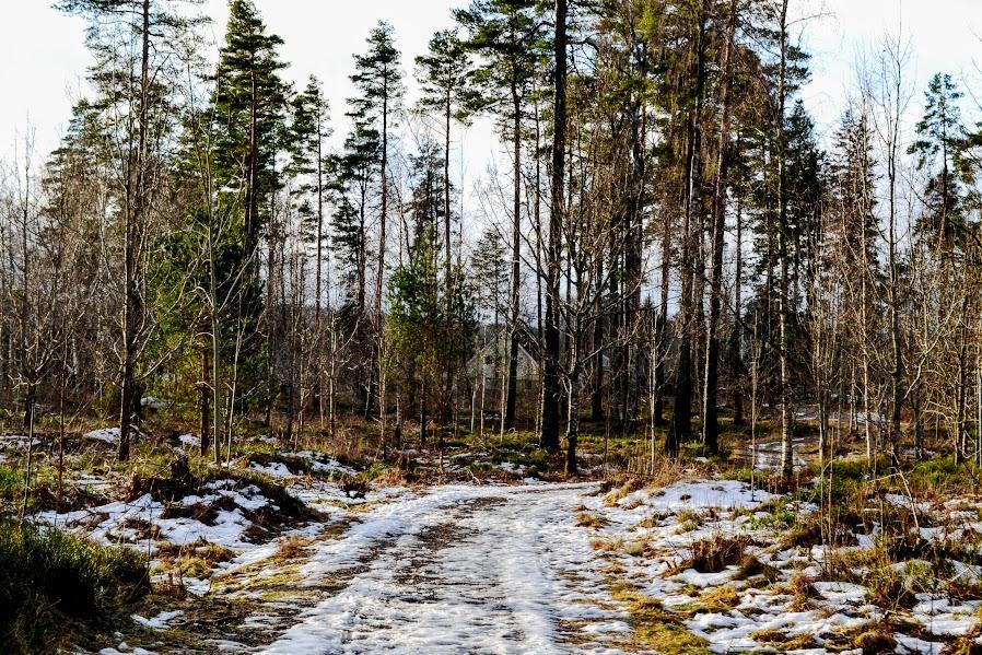Marston Hill Konuk evi Mullsjö Dış mekan fotoğraf