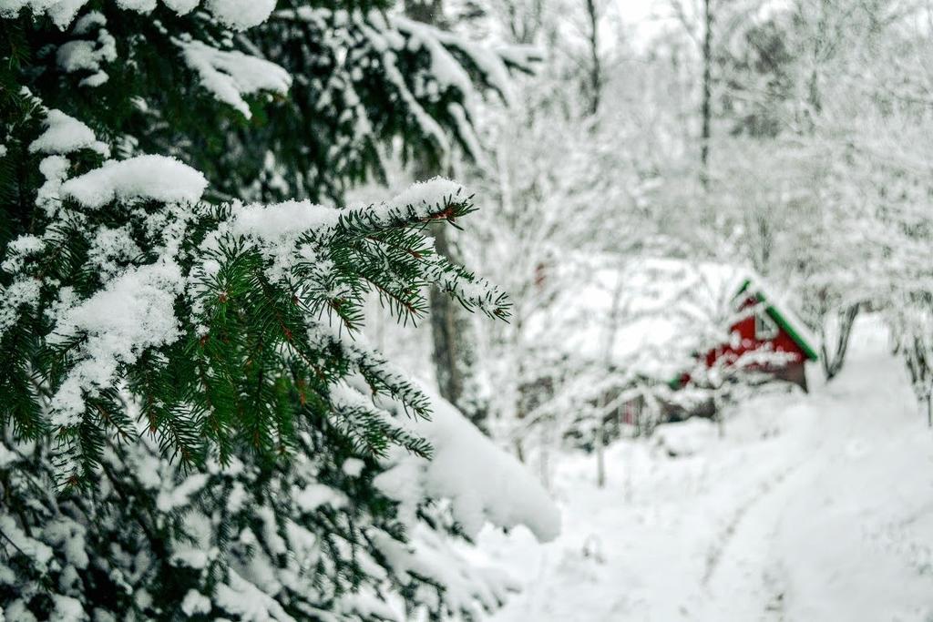 Marston Hill Konuk evi Mullsjö Dış mekan fotoğraf
